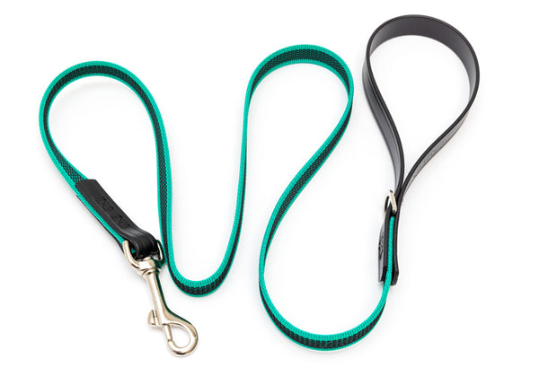 SurePaw Lead for Small and Medium Dogs