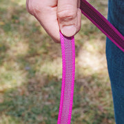 SurePaw Lead for Small and Medium Dogs