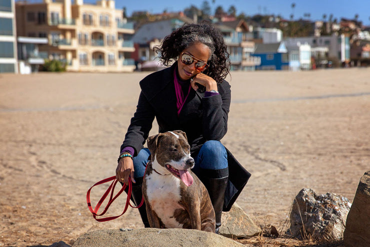 Splash Leashes for Large and Extra-Large Dogs