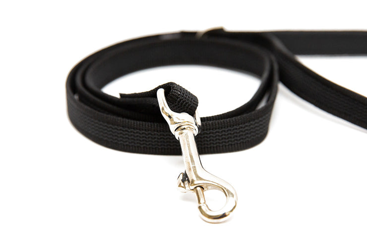 Splash Leashes for Small and Medium Dogs