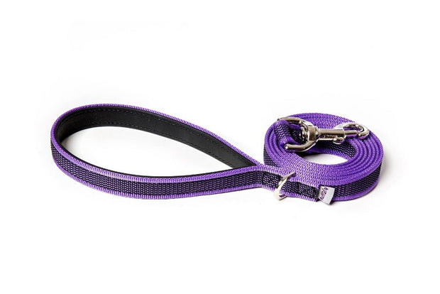 splash-dog-leash-purple