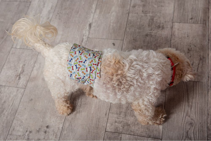 wizguard-male-dog-wearing-diaper-2