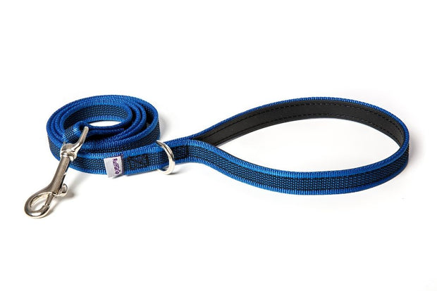 small-medium-dog-leashes-blue
