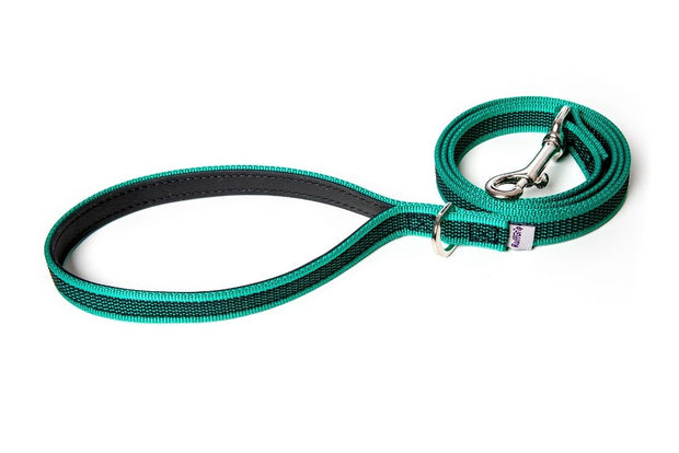 small-medium-dog-leash-green-handle