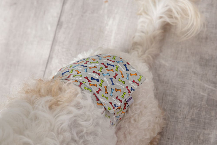 WizGuards for Male Dogs